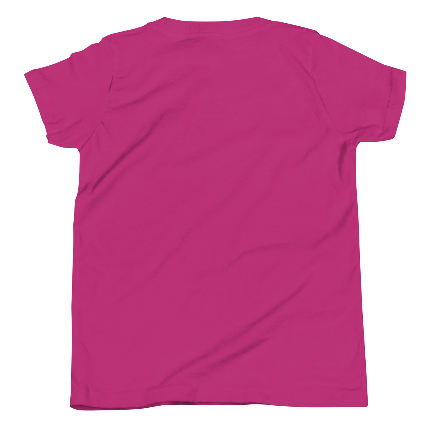 Dancing Pig Youth Short Sleeve T-Shirt
